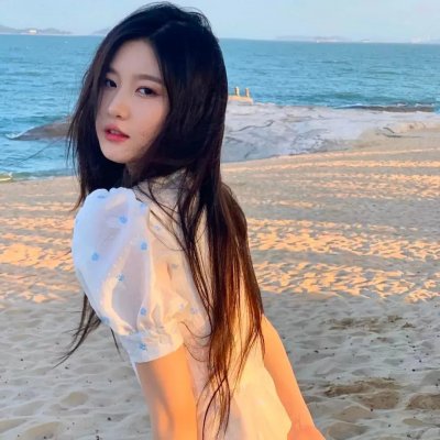 小鸟之翼第二季