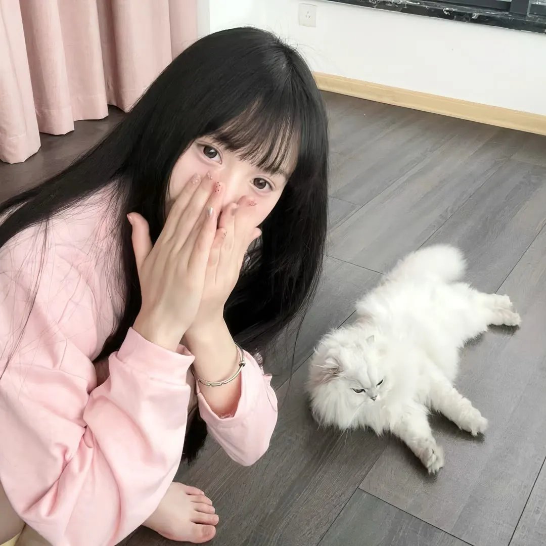奔流犬：先生归来